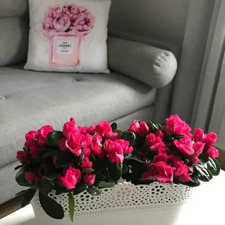 דירה Glamour Przy Plazy, Z Parkingiem Prywatnym סופוט