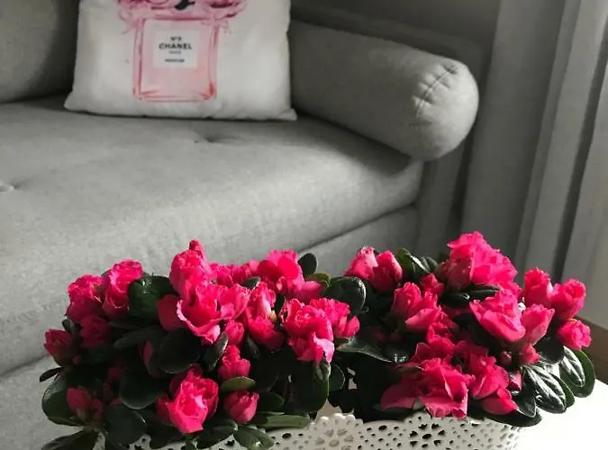 Apartman Glamour Przy Plazy, Z Parkingiem Prywatnym Sopot